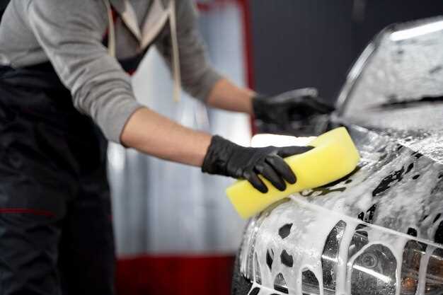 Maintenance Tips to Extend the Life of Your Car's Finish